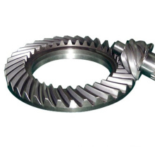 Customized Spur Bevel Worm Gear with Gear Wheel